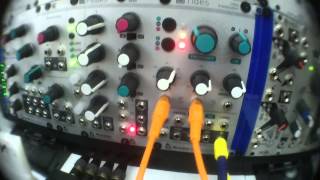 Mutable Instruments Tides Audio Modulated [upl. by Eelik]