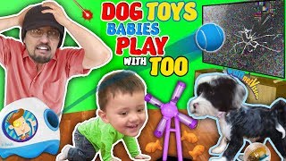 DOG TOYS vs TV FUNnel Family Vlog [upl. by Harriette]