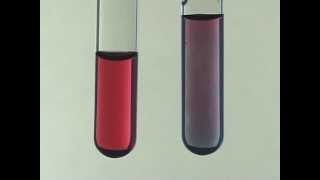 Citrate Synthesis of Gold Nanoparticles [upl. by Fidelis]