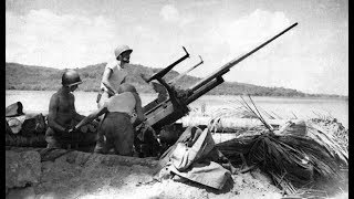 American Anti Aircraft Artillery of WWII [upl. by Tanitansy680]