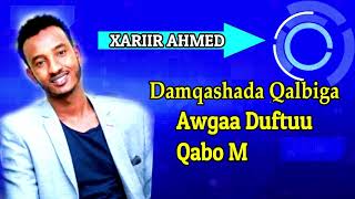 XARIIR AXMED HEESTII  DAREEN JECEYL OFFICAL LYRICS 2019 [upl. by Attenyl966]