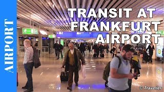 TRANSIT WALK AT FRANKFURT Airport FRA Terminal 1  Connection Flight Transfer Arriving amp Departing [upl. by Sansbury]