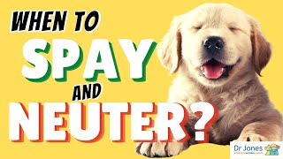 Dont Spay and Neuter Your Dog [upl. by Asen]