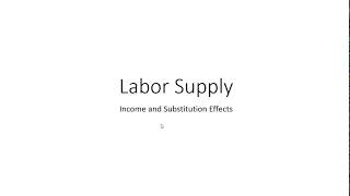 Labor Supply Income and Substitution Effects [upl. by Ahsirtal]