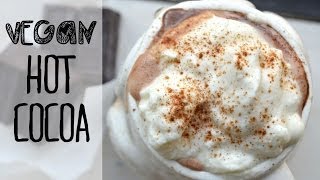 How to Make Homemade Hot Chocolate  Vegan amp Sugarfree Recipe [upl. by Iew]